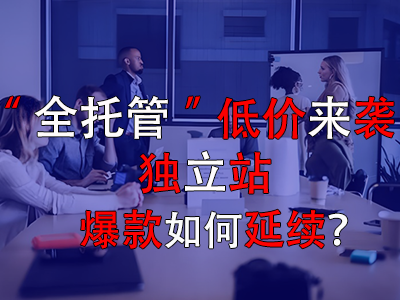 全托管低价来袭，独立站爆款如何延续？